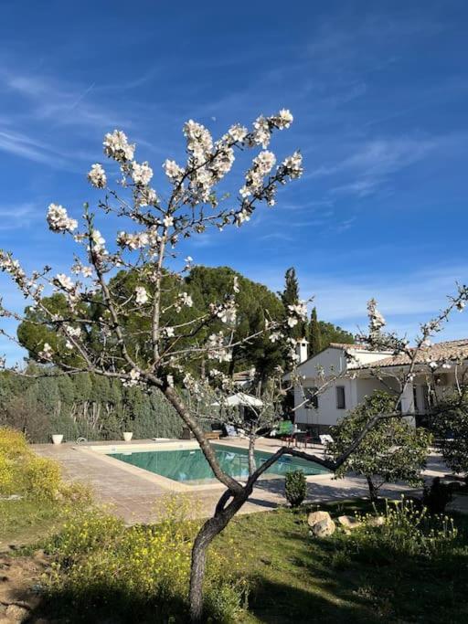 Casa Galiana. Villa Argés Exterior foto